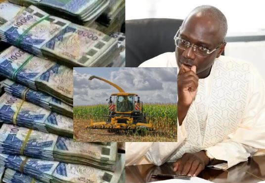 Le ministre Mabouba dévoile le financement de 525 coopératives agricoles communautaires…