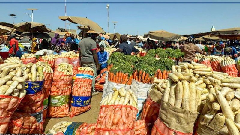 Modernisation du Marché de Notto Gouye Diama : Un Enjeu Majeur pour l’Horticulture Sénégalaise Modernisation du Marché de Notto Gouye Diama : Un Enjeu Majeur pour l’Horticulture Sénégalaise