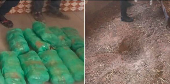 Grosse saisie de drogue à Touba : Le trafiquant cachait du « Yamba » dans son enclos…