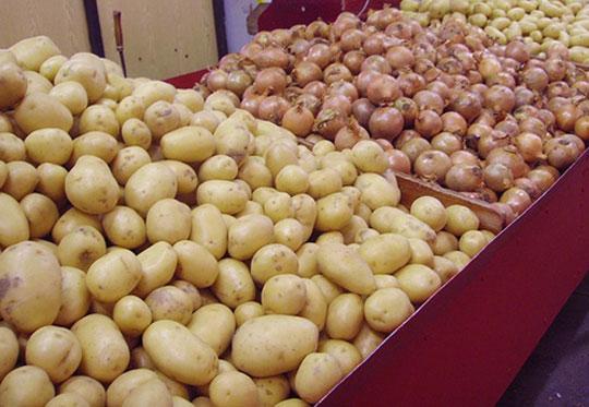 Vente de l’oignon et de la Pomme de terre: L’Etat met en place un fond d’écoulement des produits Horticoles