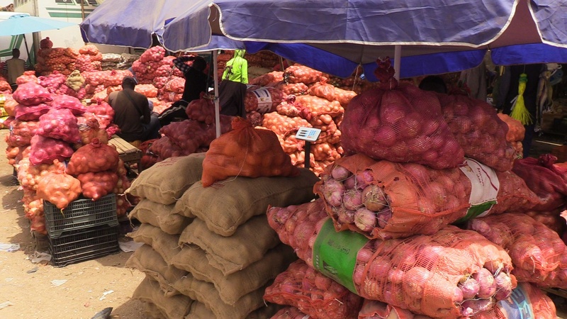 Le Sénégal met fin aux importations d’oignon et de pomme de terre grâce à une production record