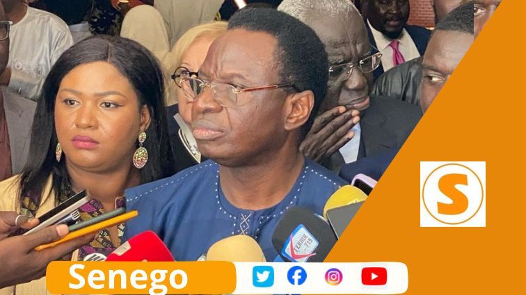 Oignon et pomme de terre sénégalais en force : On ne mange plus importé, même les frites seront patriotes Oignon et pomme de terre sénégalais en force : On ne mange plus importé, même les frites seront patriotes