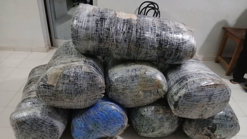 Saisies majeures de chanvre indien à Fimela et Sokone : la Gendarmerie intensifie la lutte antidrogue