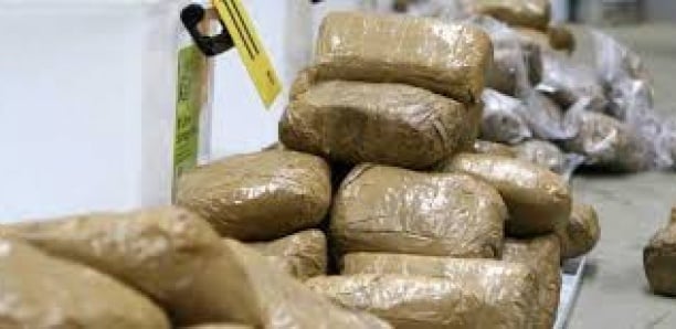 Cinq dealers arrêtés avec 2 kg de drogue à Mako