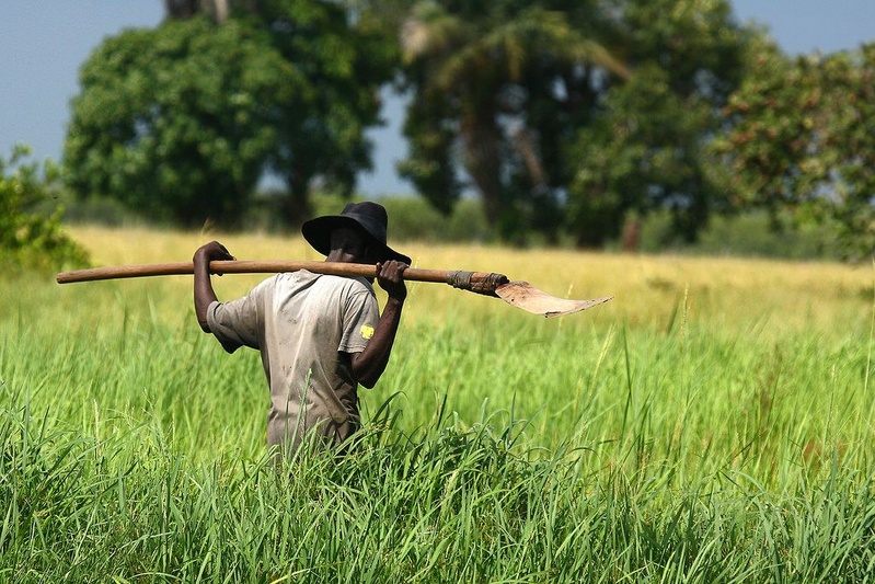 La Russie s’engage à accompagner le Sénégal dans le développement de son agriculture