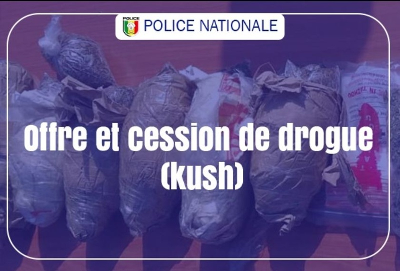 HLM Biscuiterie : un trafiquant de drogue arrêté avec 30 képas de kush placé en garde à vue