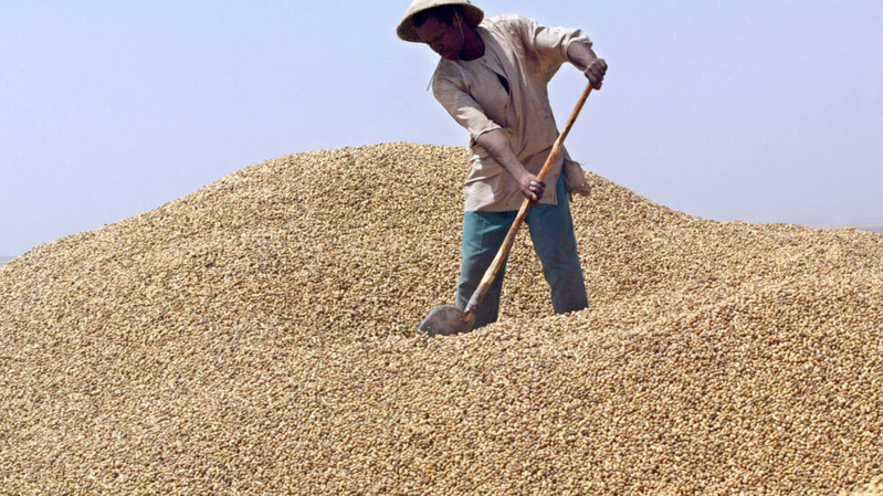 Campagne arachidière 2024-2025 : Diourbel dépasse les 20.000 tonnes et signe une récolte record Campagne arachidière 2024-2025 : Diourbel dépasse les 20.000 tonnes et signe une récolte record