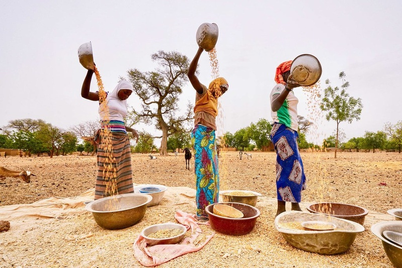 Lancement du Programme FSRP au Sénégal : 230 millions de dollars pour la résilience alimentaire Lancement du Programme FSRP au Sénégal : 230 millions de dollars pour la résilience alimentaire