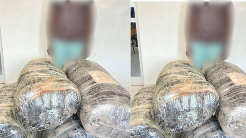 137 kg de chanvre saisis à Loul Sessène : la Gendarmerie intensifie la lutte antidrogue à Fatick