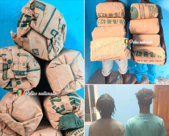 Trafic de drogue : deux individus interpellés à Ziguinchor avec 8 kg de chanvre