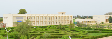 Université de Bambey : les étudiants en colère affrontent les forces de l’ordre Université de Bambey : les étudiants en colère affrontent les forces de l’ordre