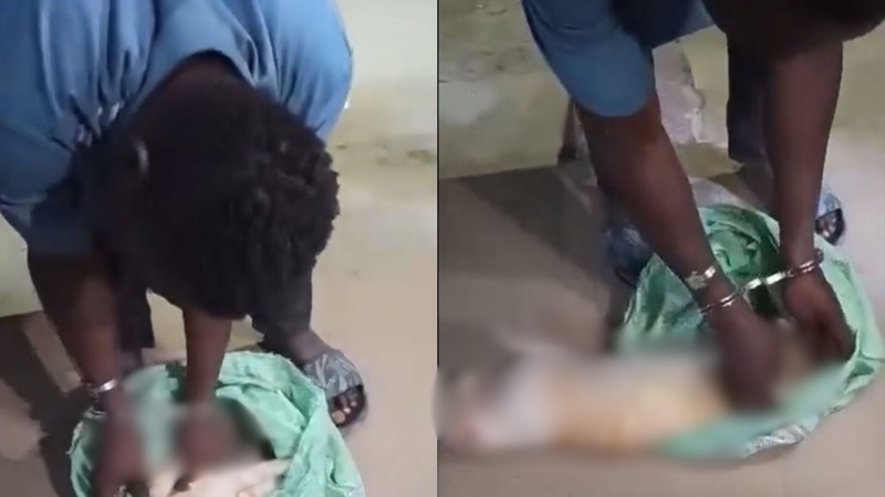 Médina : Un vendeur de brochettes interpellé avec un chat mort, l’affaire intrigue