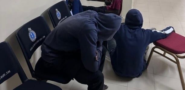 Arrestation à la Médina : deux Nigériens trouvent avec un chat sacrifié Arrestation à la Médina : deux Nigériens trouvent avec un chat sacrifié