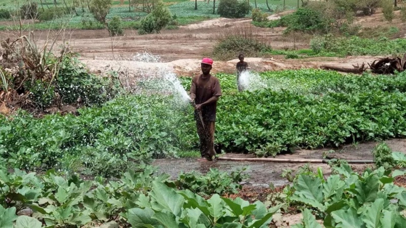 Transition agroécologique : DyTAES sensibilise les acteurs locaux lors de son passage à Mboro