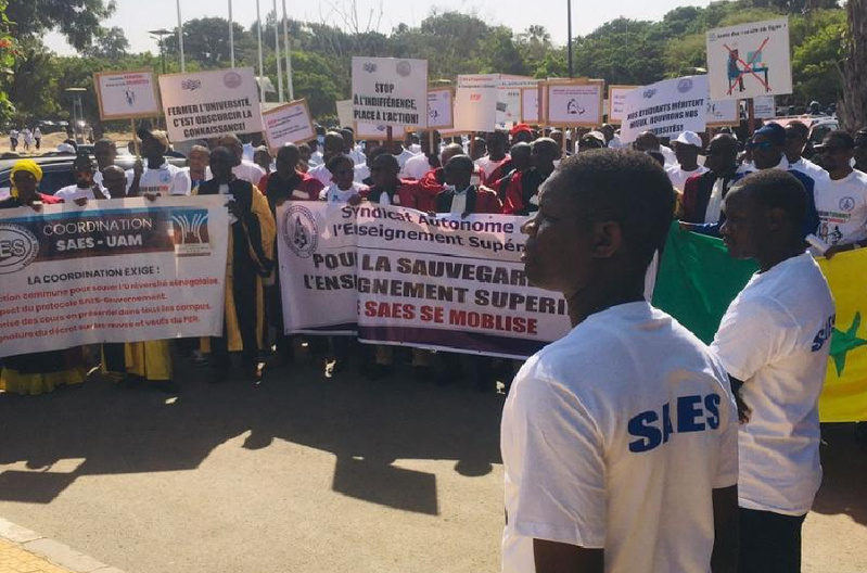 Enseignement supérieur : le SAES annonce une nouvelle mobilisation face au silence du gouvernement