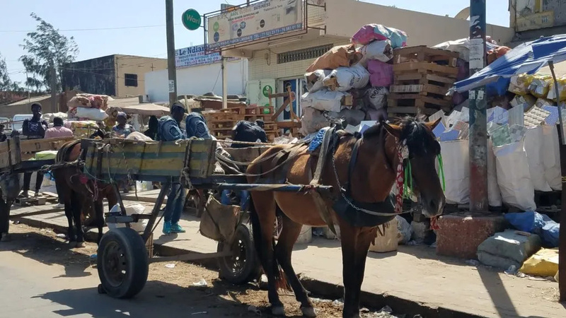 Linguère : une fillette de 5 ans meurt dans un accident de charrette à Boguel Linguère : une fillette de 5 ans meurt dans un accident de charrette à Boguel