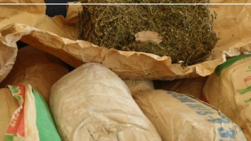 Deux saisies distinctes de chanvre indien à Ziguinchor : 11 kg interceptés par la police Deux saisies distinctes de chanvre indien à Ziguinchor : 11 kg interceptés par la police