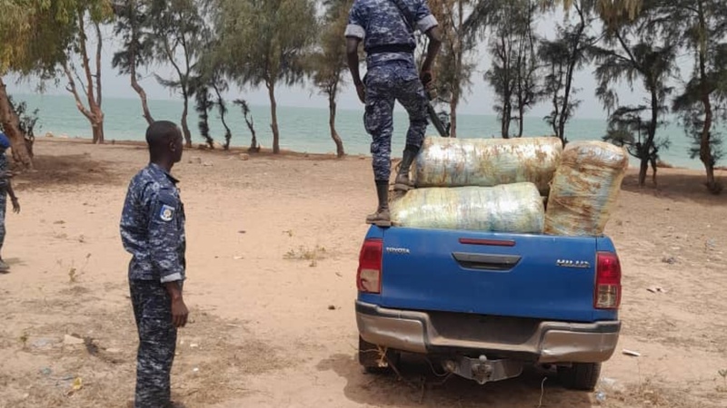 Gendarmerie nationale : nouvelles saisies majeures dans la lutte contre le trafic de stupéfiants Gendarmerie nationale : nouvelles saisies majeures dans la lutte contre le trafic de stupéfiants
