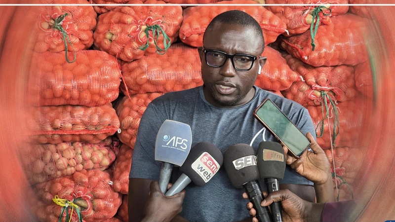 Tabaski 2025 : Les producteurs de Thiès rassurent sur la disponibilité de l’oignon et de la pomme de terre Tabaski 2025 : Les producteurs de Thiès rassurent sur la disponibilité de l’oignon et de la pomme de terre