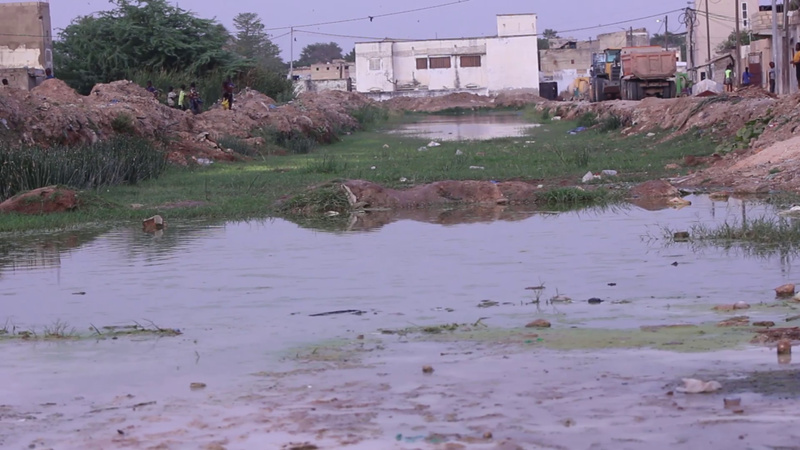 Thiès-Est : Les habitants de Nguinth dénoncent l’abandon du canal de drainage Thiès-Est : Les habitants de Nguinth dénoncent l’abandon du canal de drainage