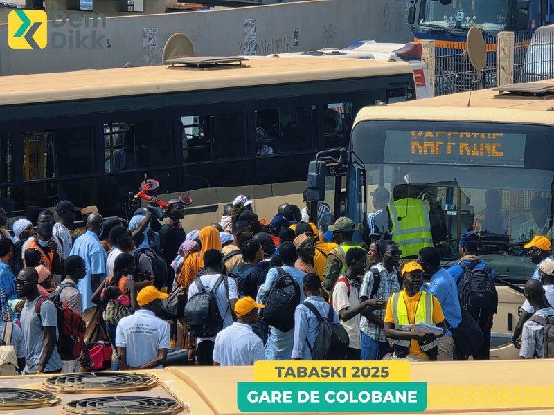 Tabaski 2025 : Plus de 20 000 voyageurs transportés par Dakar Dem Dikk vers l’intérieur du pays