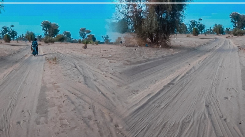 Routes impraticables et services insuffisants : les villages de Barry et Ngonine lancent un cri d’alerte
