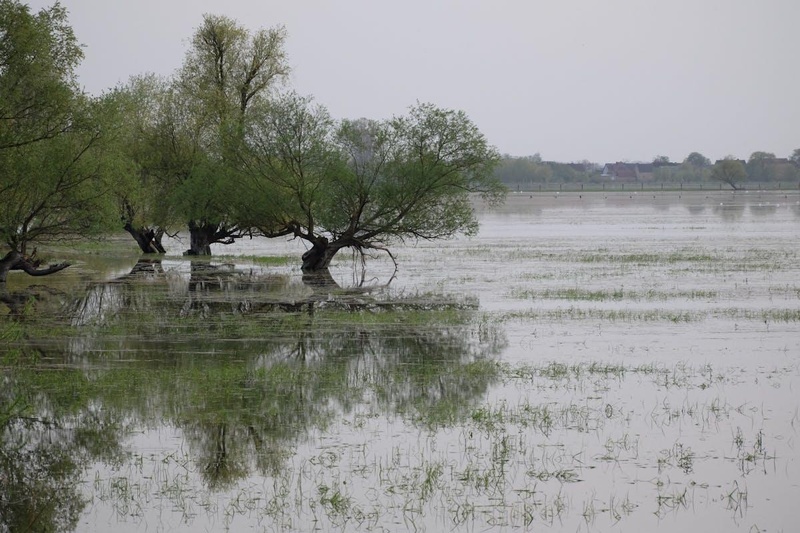Un élève de 15 ans meurt noyé dans un marigot à Kouthia Krouma lors d'une sortie entre amis Un élève de 15 ans meurt noyé dans un marigot à Kouthia Krouma lors d'une sortie entre amis