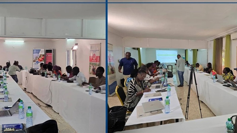 La FAO forme des journalistes à Thiès sur la sécurité des aliments de rue La FAO forme des journalistes à Thiès sur la sécurité des aliments de rue