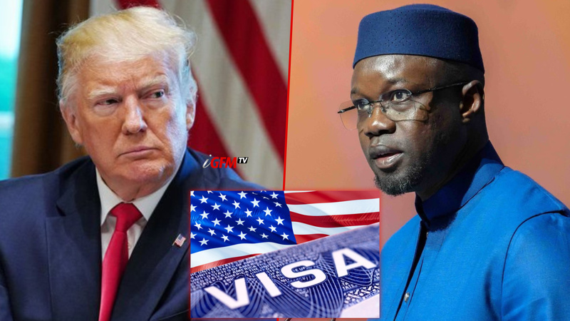 Refus de visas aux Lionnes du basket : Ousmane Sonko annule le stage prévu aux États-Unis Refus de visas aux Lionnes du basket : Ousmane Sonko annule le stage prévu aux États-Unis