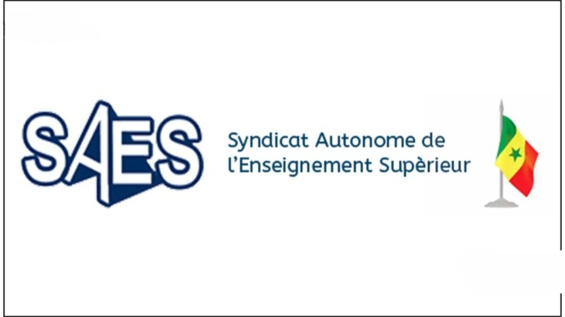 Grève de 72 heures du SAES à partir du 24 juin pour réclamer l’application d’un décret sur la retraite des enseignants-chercheurs