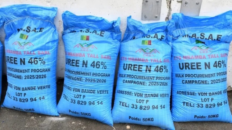 Approvisionnement agricole : 33 000 tonnes d’urée réceptionnées grâce au Bulk Procurement Program Approvisionnement agricole : 33 000 tonnes d’urée réceptionnées grâce au Bulk Procurement Program