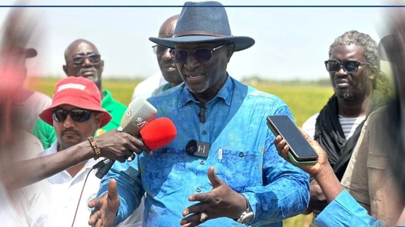 ISRA : Vers une nouvelle politique agricole axée sur les semences certifiées pour assurer la souveraineté alimentaire ISRA : Vers une nouvelle politique agricole axée sur les semences certifiées pour assurer la souveraineté alimentaire