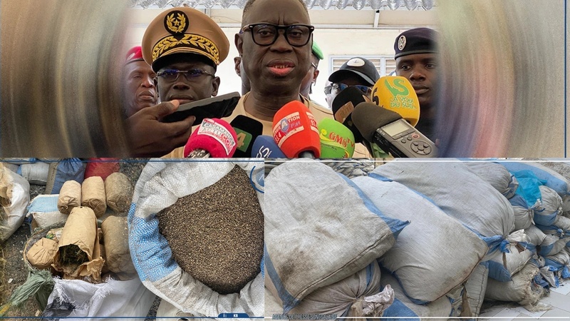 Lutte contre le chanvre indien : 400 hectares détruits et 4 tonnes saisies dans les îles Karones Lutte contre le chanvre indien : 400 hectares détruits et 4 tonnes saisies dans les îles Karones