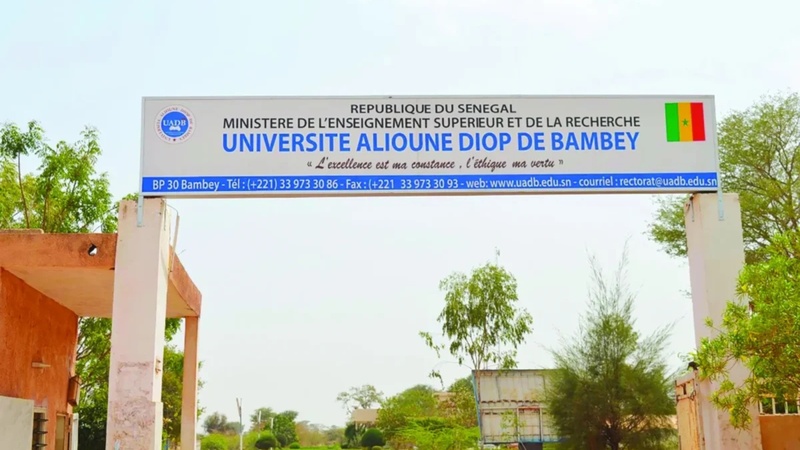 Université Alioune-Diop : 16 nouveaux médecins diplômés à Bambey Université Alioune-Diop : 16 nouveaux médecins diplômés à Bambey
