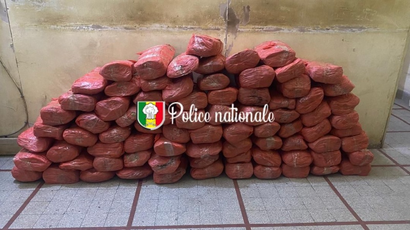 Kaolack : 80 kg de chanvre indien saisis à Thioyène Hamady Mala, les trafiquants en fuite