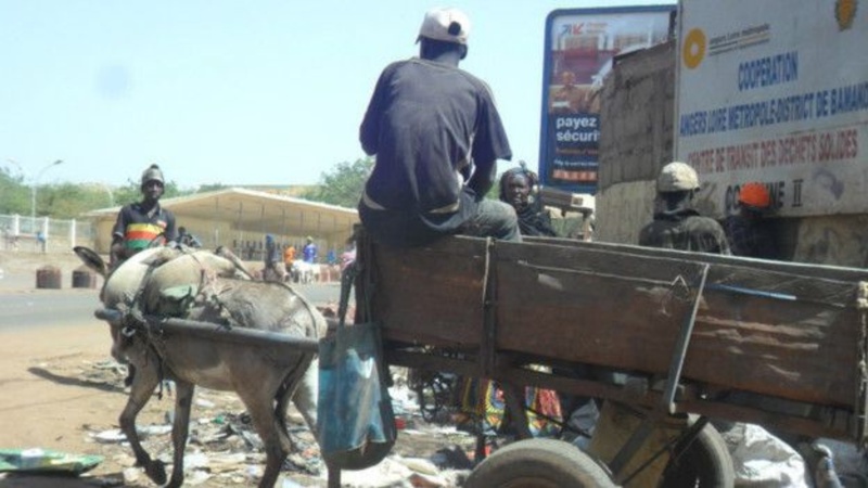 Maleme Niani : un transhumant et ses deux ânes tués dans un accident sur la RN1 Maleme Niani : un transhumant et ses deux ânes tués dans un accident sur la RN1