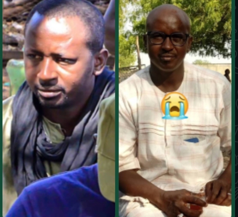 THIÈS : Un homme succombe à ses blessures après l'effondrement d'un arbre THIÈS : Un homme succombe à ses blessures après l'effondrement d'un arbre