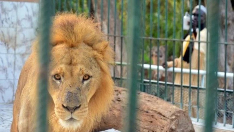 Guy Marius Sagna interpelle le gouvernement sur le sort des animaux du parc zoologique de Hann