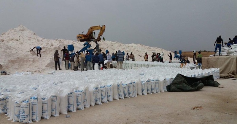 Les producteurs de sel de Latmingué en colère contre un projet d’accaparement foncier Les producteurs de sel de Latmingué en colère contre un projet d’accaparement foncier