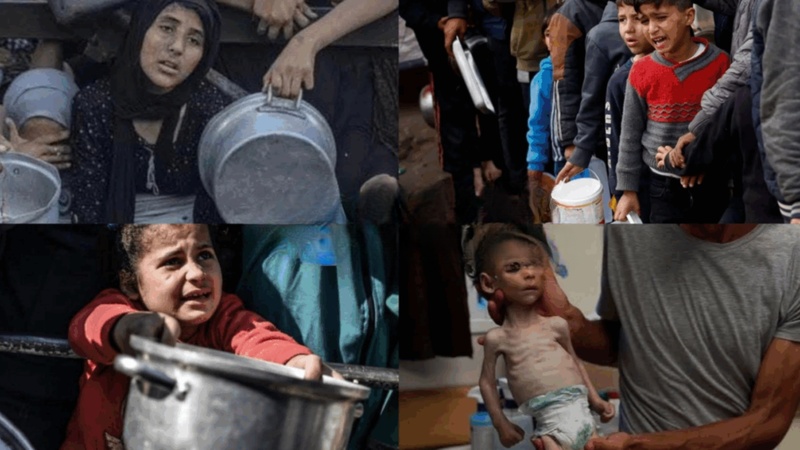 🚨 Gaza au bord de la famine : les ONG internationales lancent un cri d’alerte 🚨 Gaza au bord de la famine : les ONG internationales lancent un cri d’alerte