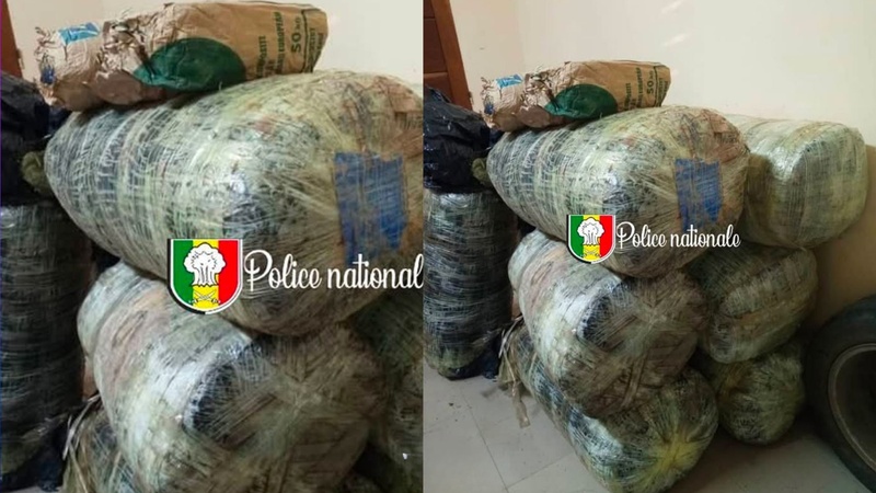 Mbour : 196 kg de ch@nvre indien saisis sur la plage de Mballing, les trafiquants en fuite Mbour : 196 kg de ch@nvre indien saisis sur la plage de Mballing, les trafiquants en fuite