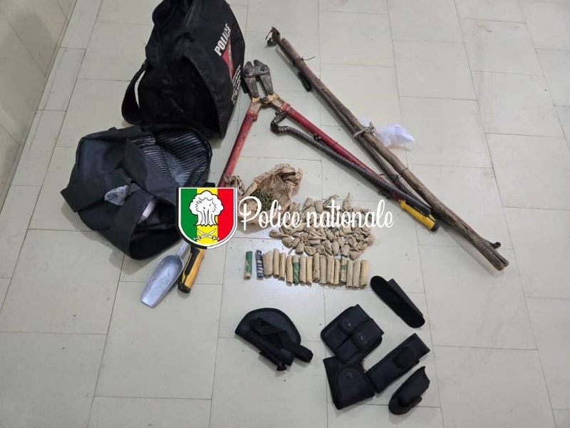 Nioro : un réseau de cambrioleurs démantelé par la police après plusieurs plaintes Nioro : un réseau de cambrioleurs démantelé par la police après plusieurs plaintes