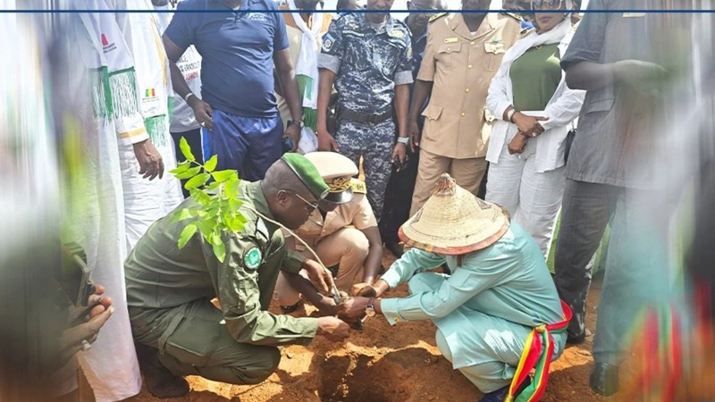 Thiès lance sa campagne de reboisement 2025 avec 500 000 plants et un ambitieux programme régional Thiès lance sa campagne de reboisement 2025 avec 500 000 plants et un ambitieux programme régional