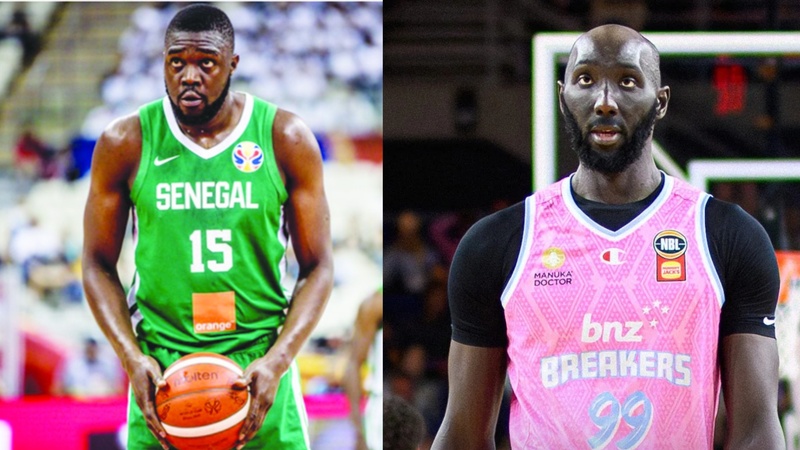 Afrobasket 2025 : le Sénégal privé de Tacko Fall et Youssou Ndoye Afrobasket 2025 : le Sénégal privé de Tacko Fall et Youssou Ndoye