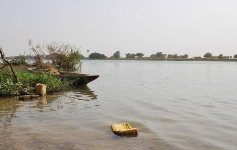 Fleuve Gambie : variations contrastées des niveaux d’eau le 20 août 2025