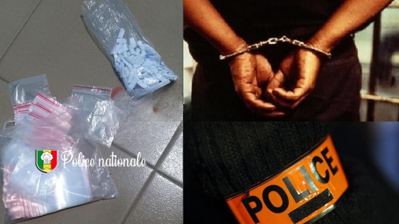 Mbour : démantèlement d’un réseau de drogue, 430 képas de Kush saisis