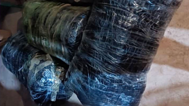 Kafountine : saisie de plus de 150 kg de ch@nvre indien par la gendarmerie