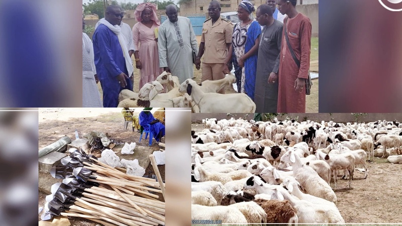 Projet Agri-jeunes : 408 moutons et du matériel remis à des bénéficiaires de Dahra