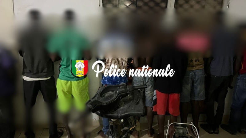 Dakar – Golf Sud : démantèlement d’un réseau de trafic de drogue, 14 personnes arrêtées