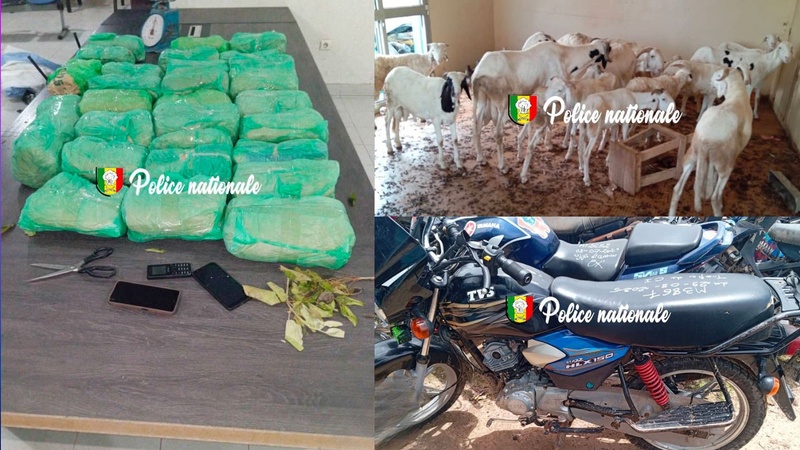 Thiaroye : saisie de 29 kg de chanvre indien et arrestation de quatre individus